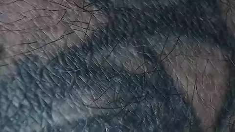 Snapshot of realrubpirate chatting on 03/18/26, 08:50 realrubpirate online show from 03/18/26, 08:50