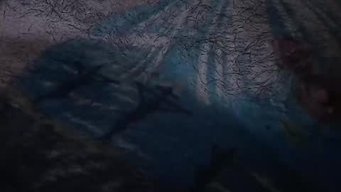 Snapshot of realrubpirate chatting on 03/22/26, 07:56 realrubpirate online show from 03/22/26, 07:56