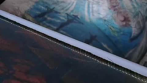 Snapshot of realrubpirate chatting on 04/01/26, 08:04 realrubpirate online show from 04/01/26, 08:04