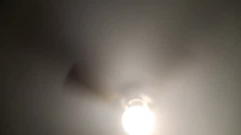 red24devils online show from 01/04/25, 06:09