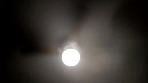 red24devils online show from 01/15/25, 05:29