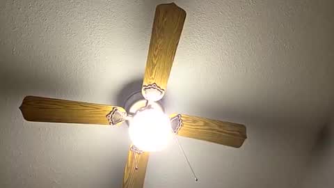 red24devils online show from 09/12/25, 12:11