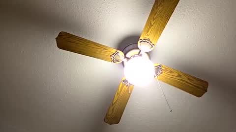 red24devils online show from 09/22/25, 06:59