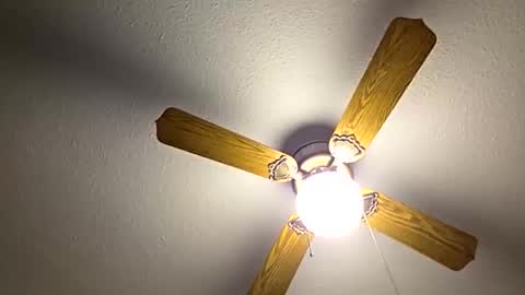 red24devils online show from 10/26/25, 05:41