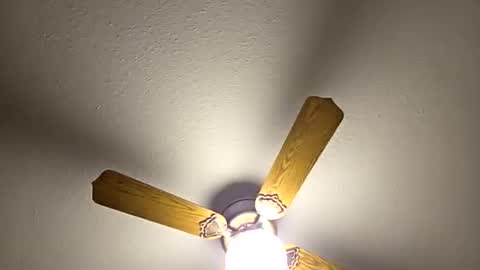 Snapshot of red24devils chatting on 03/05/26, 01:56 red24devils online show from 03/05/26, 01:56