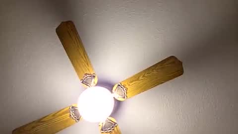 Snapshot of red24devils chatting on 03/14/26, 12:39 red24devils online show from 03/14/26, 12:39