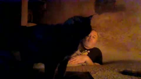 reddragon1195 online show from 04/04/26, 04:55