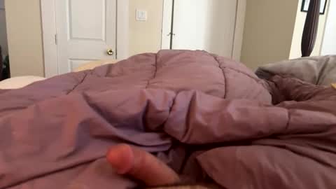 reddy4round4 online show from 02/10/26, 07:18