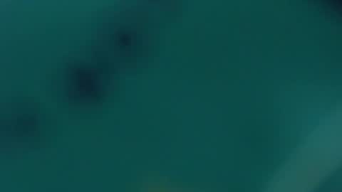 Snapshot of redhot_chilipeppers chatting on 02/20/25, 09:55 Lupe online show from 02/20/25, 09:55