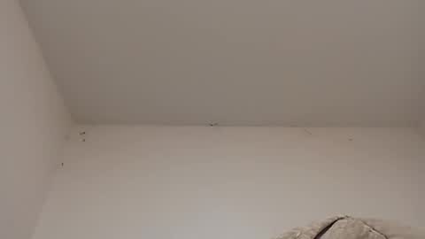 rednicedick online show from 01/22/25, 06:42