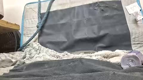 rednicedick online show from 10/16/25, 01:17