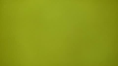 Snapshot of redplume chatting on 02/12/26, 11:16 Redplume online show from 02/12/26, 11:16