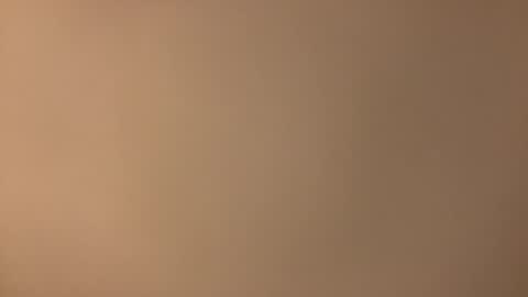 Snapshot of redplume chatting on 04/13/26, 08:03 Redplume online show from 04/13/26, 08:03