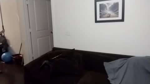 shy online show from 09/21/25, 08:38