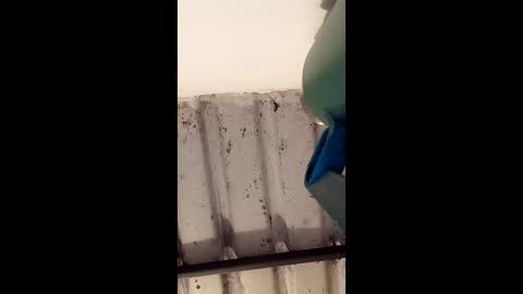 Snapshot of reinft chatting on 03/01/26, 10:06 reinft online show from 03/01/26, 10:06