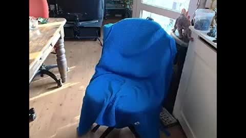 relaxyio online show from 03/10/25, 07:42