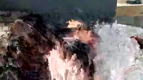 Snapshot of renaexx03 chatting on 09/28/25, 02:28 renaexx03 online show from 09/28/25, 02:28