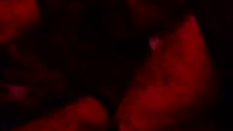 Snapshot of renuetto chatting on 10/13/25, 05:40 renuetto online show from 10/13/25, 05:40