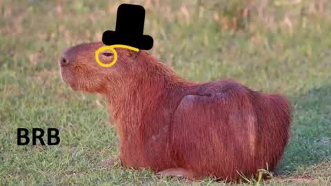 Chris online show from 01/16/26, 01:31