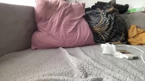 Snapshot of reyna77 chatting on 01/22/25, 09:46 reyna77 online show from 01/22/25, 09:46