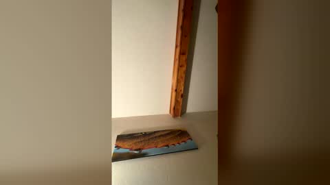 RhinoDickasaurus online show from 12/17/25, 07:58