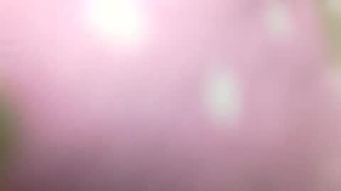 Snapshot of rhymes2479 chatting on 01/01/25, 10:56 Shaved cock ready online show from 01/01/25, 10:56