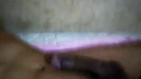 rica1234567890961640 online show from 10/21/25, 05:19