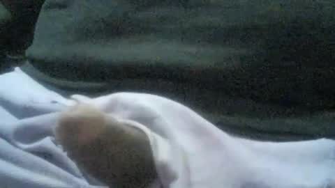 Snapshot of ricardo160291 chatting on 01/06/25, 01:09 ricardo160291 online show from 01/06/25, 01:09