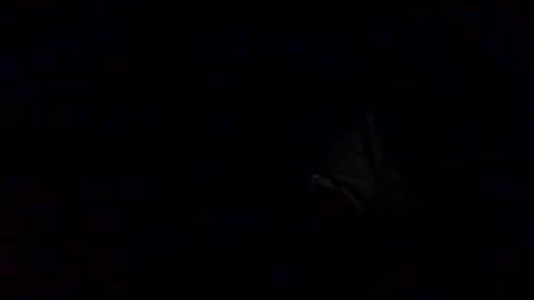 Snapshot of richardsone1 chatting on 10/12/25, 03:27 Babu online show from 10/12/25, 03:27