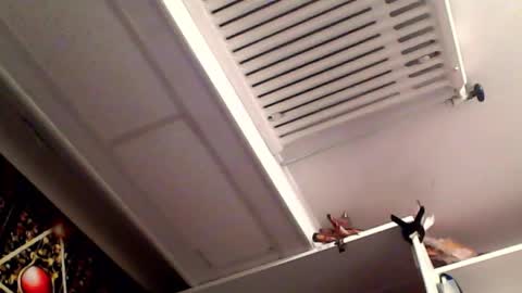 Snapshot of rickdaydream chatting on 03/16/26, 08:35 RICK DAYDREAM online show from 03/16/26, 08:35