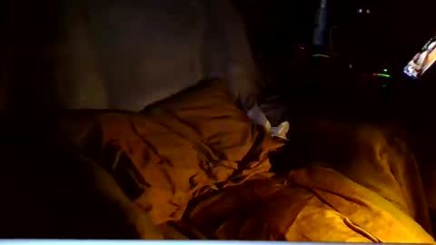 Snapshot of ricks4fun chatting on 03/06/26, 04:53 PINK HOLE TWINK online show from 03/06/26, 04:53