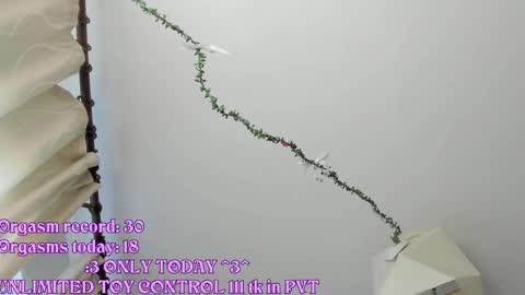 Snapshot of rileynymph chatting on 05/21/26, 03:24 My name is Riley Like my broadcast pls 3 online show from 05/21/26, 03:24