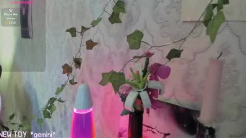 Snapshot of rileynymph chatting on 07/25/26, 03:15 My name is Riley Like my broadcast pls 3 online show from 07/25/26, 03:15