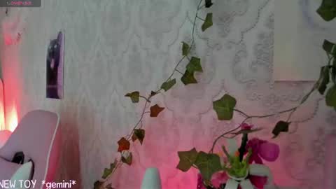 Snapshot of rileynymph chatting on 07/26/26, 07:26 My name is Riley Like my broadcast pls 3 online show from 07/26/26, 07:26