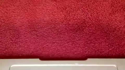 Snapshot of rimalovar chatting on 10/25/25, 06:32 rimalova online show from 10/25/25, 06:32