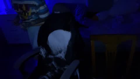 Snapshot of ripper_66 chatting on 12/17/24, 07:48   DianaBrite            fansl y online show from 12/17/24, 07:48