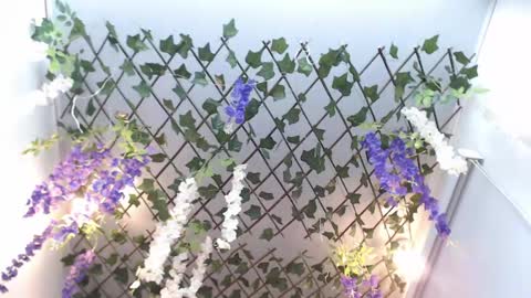 Snapshot of risitos_de_oro_ chatting on 04/19/26, 10:12 Risitos De Oro online show from 04/19/26, 10:12