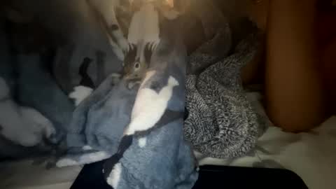 Snapshot of roarmance1 chatting on 10/30/25, 05:35 roarmance1 online show from 10/30/25, 05:35