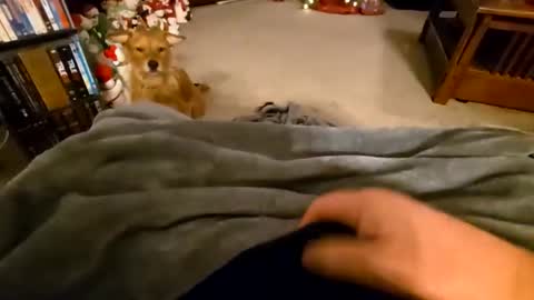 Snapshot of robbiebob6828 chatting on 01/09/26, 04:26 robbiebob6828 online show from 01/09/26, 04:26