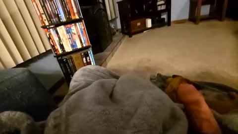 Snapshot of robbiebob6828 chatting on 03/02/26, 04:14 robbiebob6828 online show from 03/02/26, 04:14