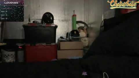 Robert Cici Jr. online show from 12/13/24, 03:05