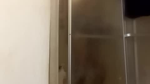 Snapshot of robertsaiz4200 chatting on 11/24/25, 11:15 robertsaiz4200 online show from 11/24/25, 11:15