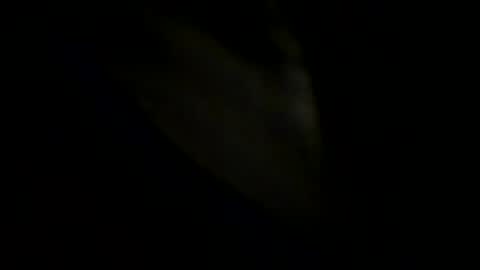 Snapshot of robertsmethurst chatting on 05/31/26, 06:09 Johnny online show from 05/31/26, 06:09