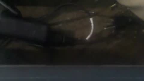 Snapshot of robincom23 chatting on 12/20/24, 03:36 R online show from 12/20/24, 03:36