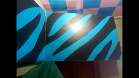 Snapshot of robincom23 chatting on 02/07/25, 09:26 R online show from 02/07/25, 09:26