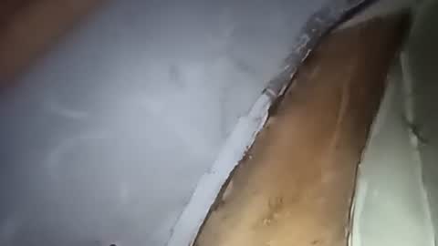 Snapshot of robincom23 chatting on 10/01/25, 04:29 R online show from 10/01/25, 04:29