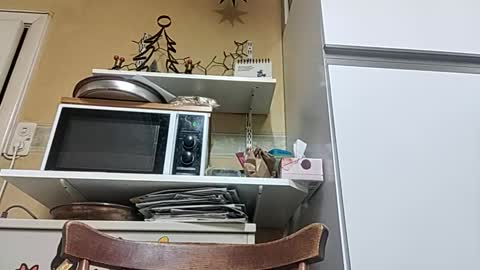 Snapshot of robke1966 chatting on 12/23/25, 07:06 robke1966 online show from 12/23/25, 07:06