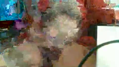 Snapshot of rocco1962 chatting on 02/11/26, 11:48 Rocco aka DaddyRoc online show from 02/11/26, 11:48