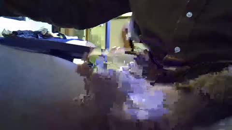 Snapshot of rocco981980 chatting on 01/08/25, 12:06 rocco981980 online show from 01/08/25, 12:06