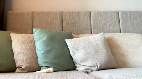 Snapshot of rockboy3000 chatting on 01/05/25, 11:55 rockboy3000 online show from 01/05/25, 11:55